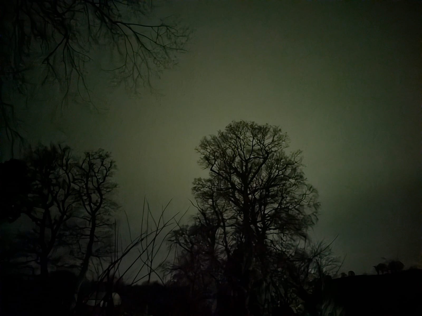 First Impressions, Perception, and the Space for What We Don’t Yet Know